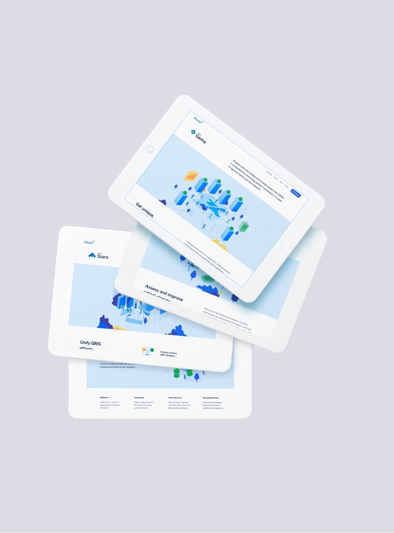 Mosaic Network Inc
